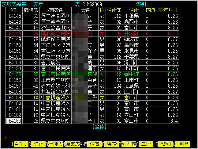 �\�`���ҏW���